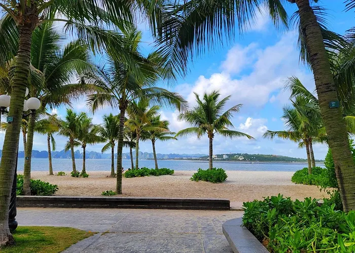 Căn Hộ Cao Cấp Tại Alacarte Bay Căn hộ *